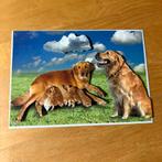 Kaart 3d dieren honden 2, Ophalen of Verzenden, Nieuw, Overige thema's