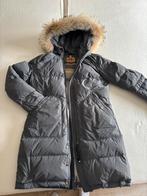 Parajumpers jas long bear lightweight mt M., Maat 38/40 (M), Zo goed als nieuw, Grijs, Parajumpers
