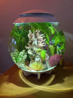 Biorb Halo 30 liter aquarium wit, Dieren en Toebehoren, Vissen | Aquaria en Toebehoren, Gebruikt, Ophalen, Leeg aquarium