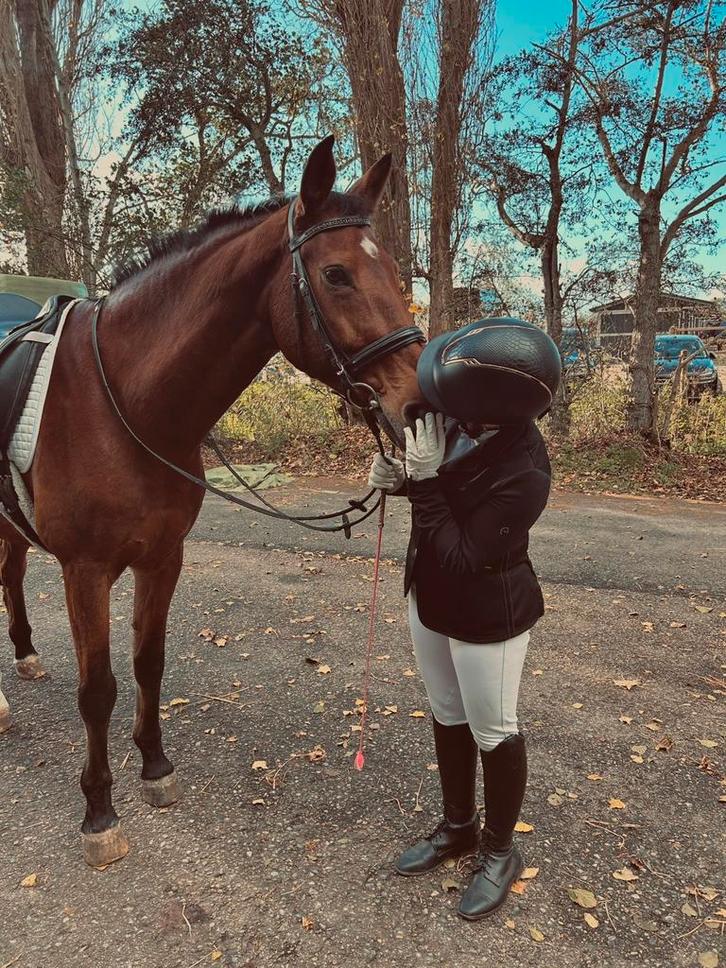 Verzorger/bijrijder aangeboden, verzorg/bijrijpaard gezocht, Dieren en Toebehoren, Paarden en Pony's | Verzorgingsproducten, Ophalen of Verzenden