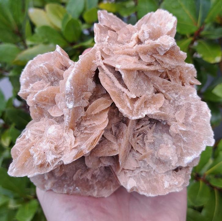 Prachtige Woestijnroos edelsteen cluster edelstenen mineraal, Verzamelen, Mineralen en Fossielen, Ophalen of Verzenden