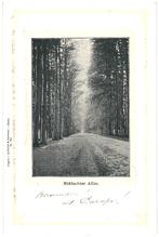 962008 De Steeg Gld Middachter Allee Nette oude kaart Onbes