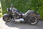 Harley Davidson Fat Boy Special, Motoren, Chopper, Particulier