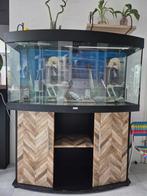 Panorama aquarium, Dieren en Toebehoren, Ophalen, Gebruikt, Leeg aquarium