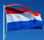 MijnNT2 – 1-op-1 online lessen Nederlands (A1/A2), Diensten en Vakmensen, Bijles, Privé-les en Taalles, Privéles, Bijles