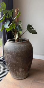 Oude stenen kruik/pot/vaas, uniek, eyecather!, Ophalen, Steen, 40 cm of meer, Rond