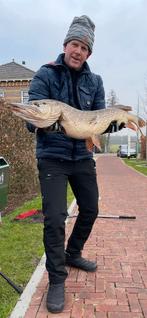 Maak het verschil met Monoflex Onderlijntjes, Watersport en Boten, Verzenden, Nieuw