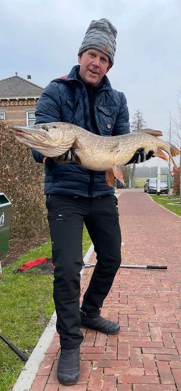 Maak het verschil met Monoflex Onderlijntjes beschikbaar voor biedingen