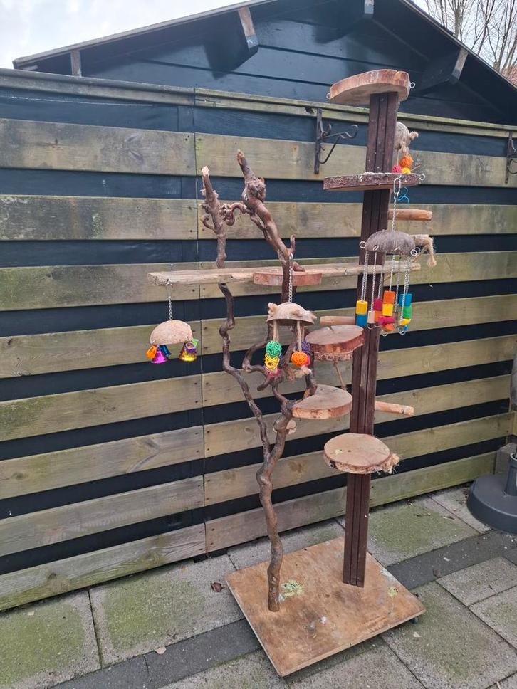 Mooie speelpaal voor papegaai, Dieren en Toebehoren, Vogels | Toebehoren, Speelgoed, Ophalen