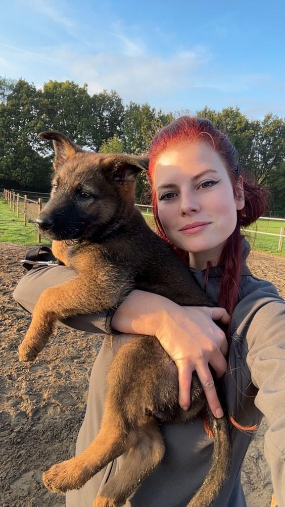 thuis werken, meer vrije tijd voor (honden)kindjes, Vacatures, Vacatures | Thuiswerk, Overige niveaus, Starter, Overige vormen