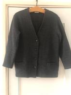 Dries van Noten antracietgrijs jasje medium, Kleding | Dames, Ophalen of Verzenden, Zo goed als nieuw, Maat 38/40 (M)