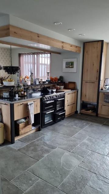 Bourgondische Dallen Castle Stone Taupe groot wildverband beschikbaar voor biedingen