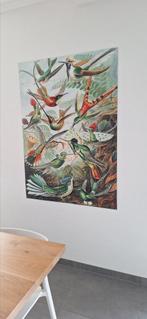 IXXI hummingbirds 100x140 cm, Antiek en Kunst, Ophalen of Verzenden