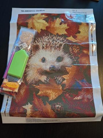 Diamond Painting 30x40 Compleet beschikbaar voor biedingen