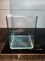 Aquarium COCOON 1 (10 L), Ophalen, Gebruikt, Leeg aquarium