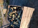 Brandhout/appelhout/haardhout., Tuin en Terras, Haardhout, 6 m³ of meer, Ophalen, Overige houtsoorten, Stammen