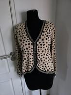 Vest Marccain 40, Ophalen of Verzenden, Zo goed als nieuw, Maat 38/40 (M)