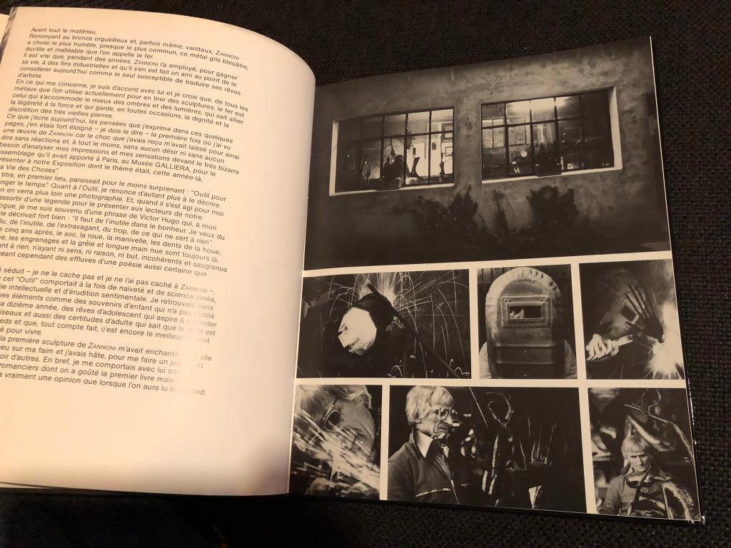 Kunstboek Amilcar Zannoni - Andre Flament, Gelezen, Andre Flament, Ophalen of Verzenden, Overige onderwerpen