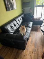 GEZOCHT mini chihuahua of mini pomeriaan, Dieren en Toebehoren, Honden | Chihuahua's en Gezelschapshonden, 1 tot 2 jaar, Teef