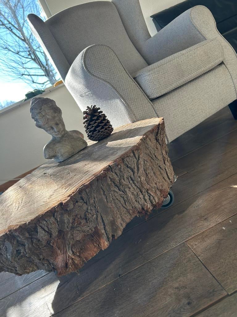 Boomstam salon tafel, Huis en Inrichting, 100 tot 150 cm, Zo goed als nieuw, Minder dan 50 cm, Rechthoekig