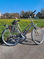 Sportieve Gazelle Medeo Trekking Alu Lite damesfiets 53 cm, Ophalen, Meer dan 20 versnellingen, Gazelle, 53 tot 56 cm