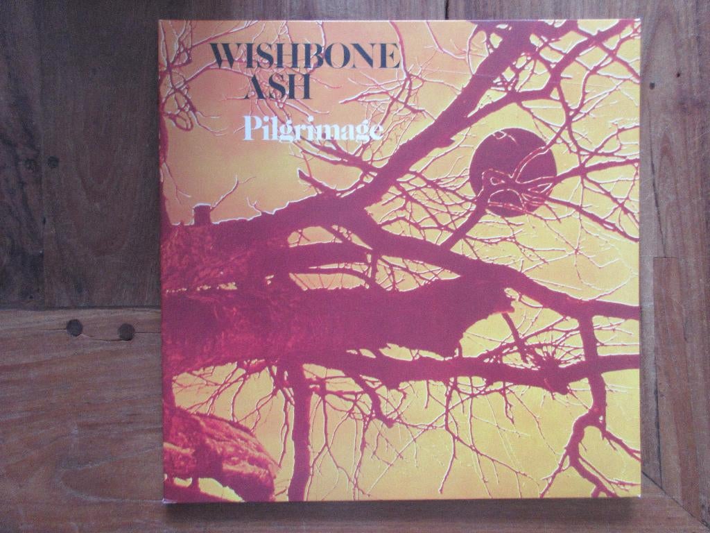 Wishbone Ash Pilgrimage - LP, Cd's en Dvd's, Ophalen of Verzenden, Zo goed als nieuw, 12 inch