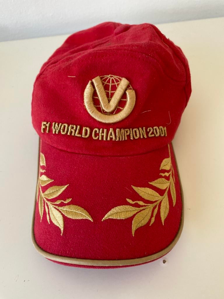 F1 pet collectors item, Ophalen of Verzenden, Zo goed als nieuw, One size fits all