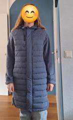 Human Nature softshell jas dames maat L, kleur blauw, Kleding | Dames, Human Nature, Ophalen of Verzenden, Zo goed als nieuw