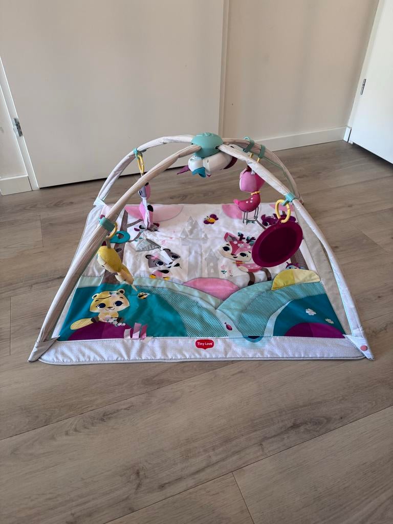 Speelkleed Tiny Love, Ophalen, Zo goed als nieuw