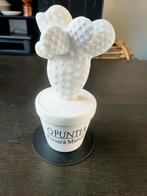 Riviera Maison cactus Opuntia, Ophalen of Verzenden, Overige kleuren, Glas, Minder dan 50 cm