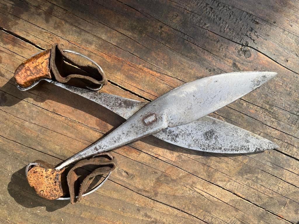 Schaar schapen, Ophalen of Verzenden