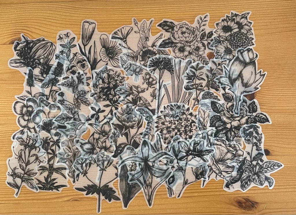 Zwarte bloemen thema stickers, Verzenden, Nieuw, Meerdere stickers