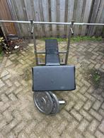 Fitnes bankje met halter en gewicht, Sport en Fitness, Fitnessmaterialen, Ophalen, Zo goed als nieuw, Fitnessbank