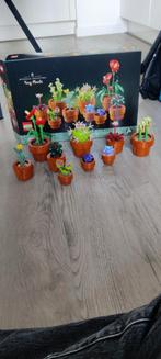 LEGO Botanische Collectie: Tiny Plants (10329), Ophalen of Verzenden, Zo goed als nieuw, Complete set, Lego