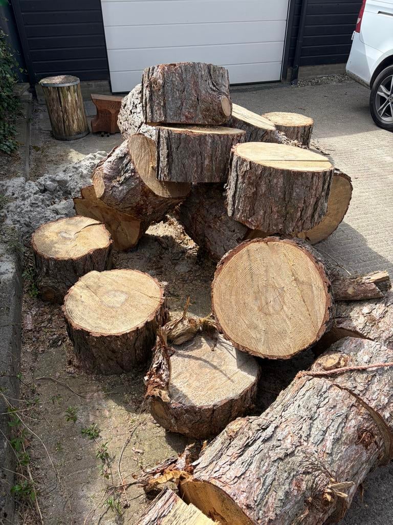 Brandhout. Dennenhout, Tuin en Terras, Haardhout, Minder dan 3 m³, Ophalen