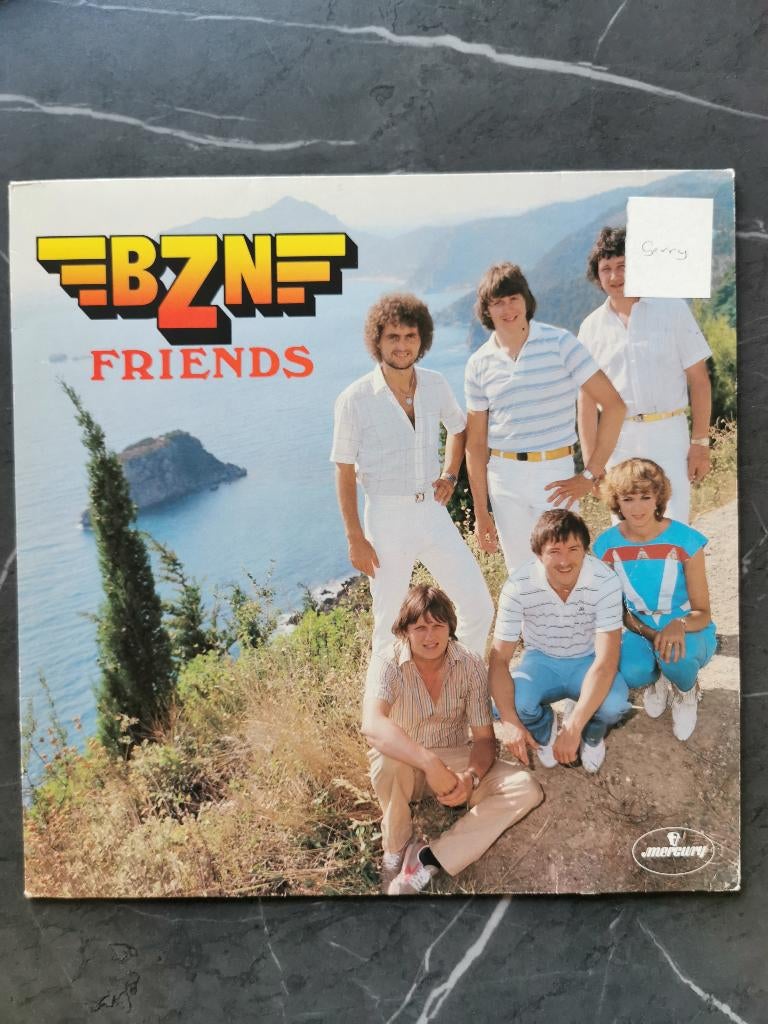 LP BZN - Friends, Cd's en Dvd's, Vinyl | Pop, Ophalen of Verzenden, Gebruikt, 12 inch