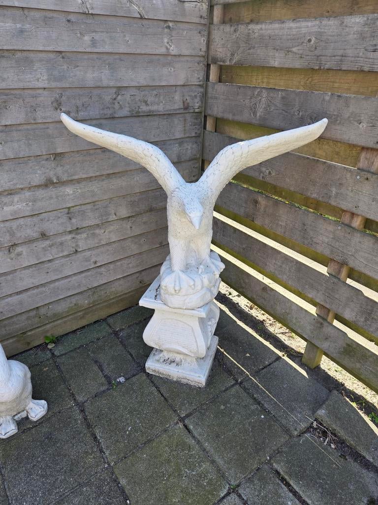 Groot Adelaar Beeld - Tuindecoratie (zwaar), Ophalen, Gebruikt, Beton, Dierenbeeld