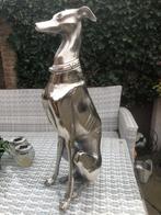 groot aluminium hond windhond whippet hazewindhond, Ophalen of Verzenden