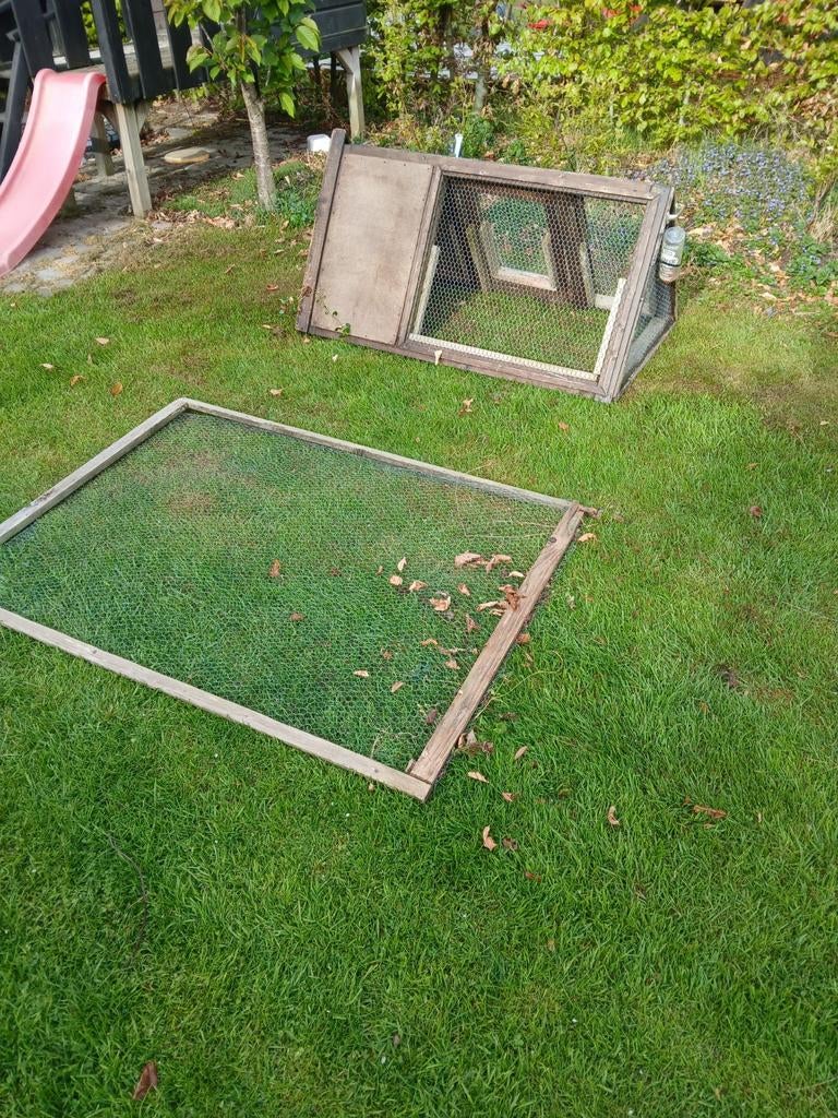 Ren voor buiten gratis, Meerdere dieren, Middelgroot, 3 tot 5 jaar