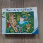 Ravensburger In het Regenwoud 1500 stukjes, Hobby en Vrije tijd, Denksport en Puzzels, Ophalen, 500 t/m 1500 stukjes, Zo goed als nieuw