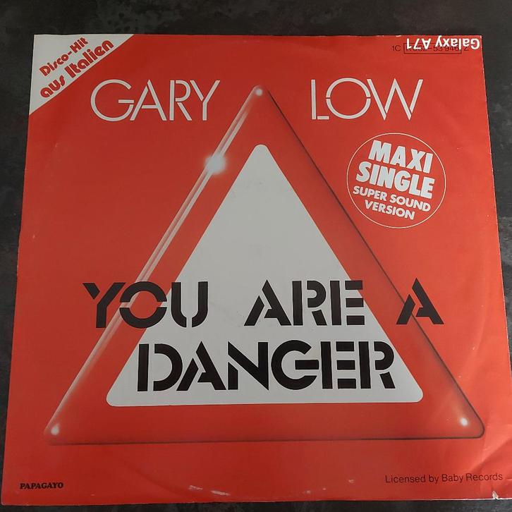 12 inch Maxisingel Gary Low - You Are A Danger (1982), Cd's en Dvd's, Vinyl | Dance en House, Gebruikt, Disco, 12 inch, Ophalen of Verzenden
