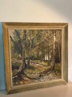 Prachtige Mooi Schilderij Van Een Bos, Ophalen