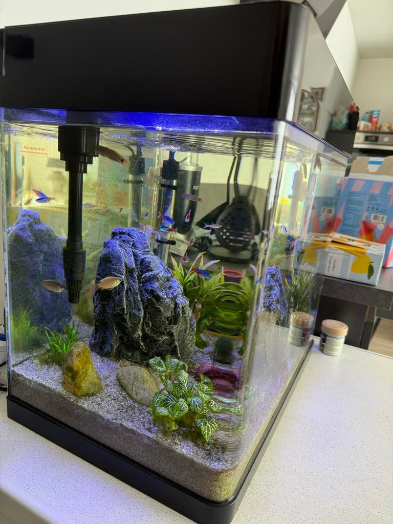 Mooi compleet superfish aquarium te koop, Dieren en Toebehoren, Vissen | Aquaria en Toebehoren, Ophalen of Verzenden, Superfish