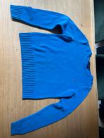 Ralph Lauren trui maat L, Kleding | Dames, Truien en Vesten, Ophalen of Verzenden, Zo goed als nieuw