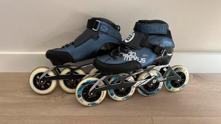 Cadomotus Rookie Two skeelers, maat 40., Sport en Fitness, Skeelers, Zo goed als nieuw, Inline skates 4 wielen, Overige merken