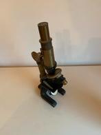 Antieke Microscoop - Decoratief of voor de verzamelaar, Ophalen, Gebruikt, Minder dan 400x, Biologische microscoop