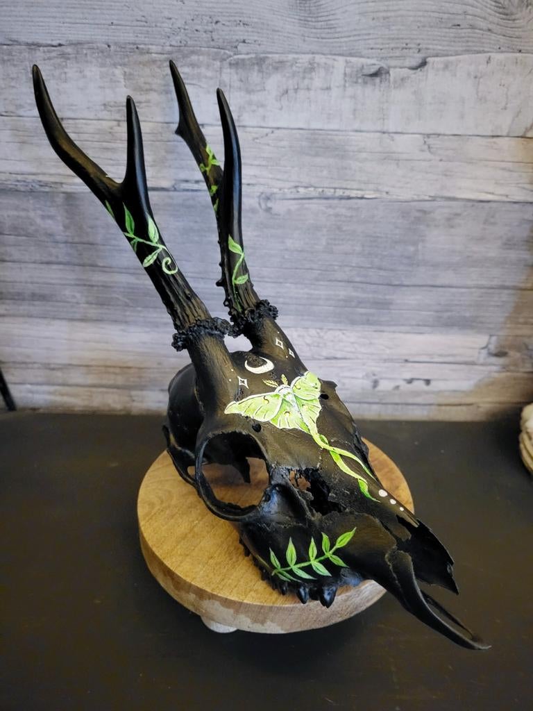 Kunst op hert, Ophalen of Verzenden, Nieuw