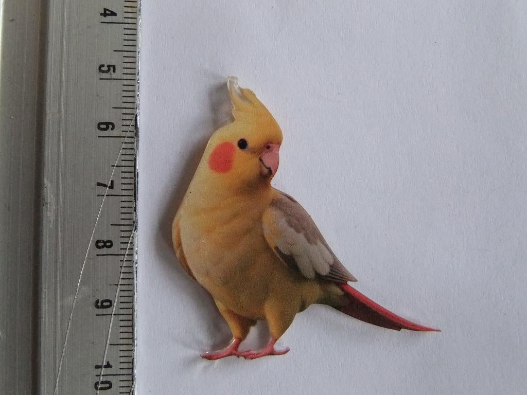pin (speltje) witte bonte valkparkiet, Verzenden, Nieuw, Overige onderwerpen
