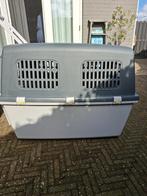 Grote Transport kennel/box XXL, Dieren en Toebehoren, Ophalen