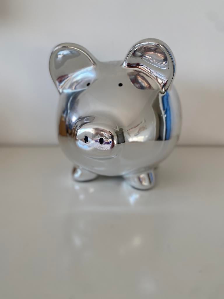 Groot zilverkleurig spaarvarken. Mooi decoratiestuk, Verzamelen, Spaarpotten, Ophalen of Verzenden, Zo goed als nieuw, Steen, Aardewerk of Keramiek